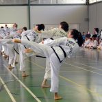 Martial Arts Training in Australia